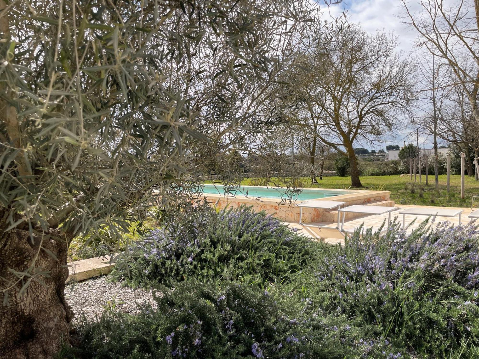 Trullo Panna Fragola - Exclusive Four Bedroom Villa & Private Pool Мартіна-Франка Екстер'єр фото
